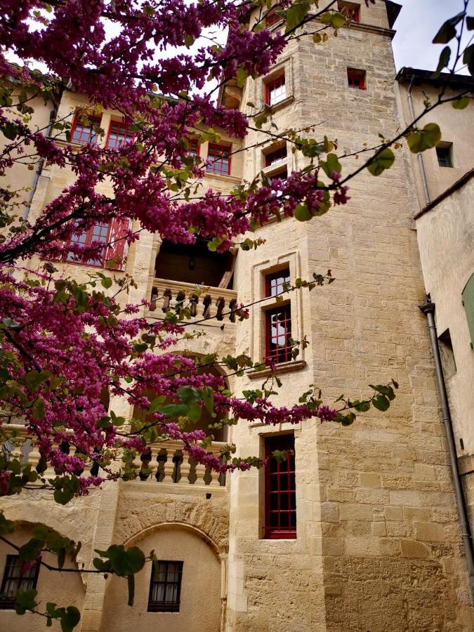 Appartement A 50 M De La Place Aux Herbes Юзес Экстерьер фото